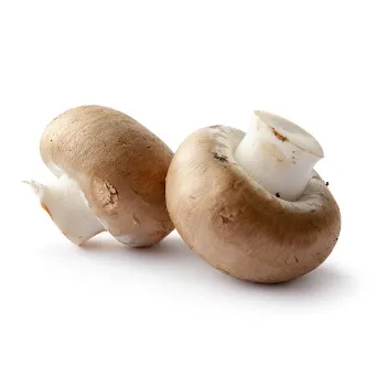 Fresh Mushroom